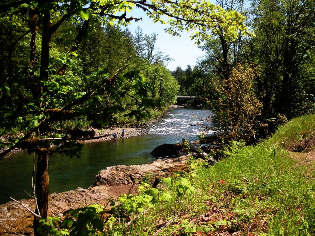 Fluss in den Bergen von Oregon