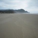 Erster Kontakt mit Strand