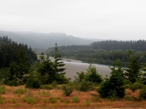 Aussicht auf einen Fluss im Redwoodwald