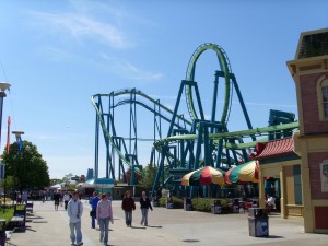 Cedar Point Raptor